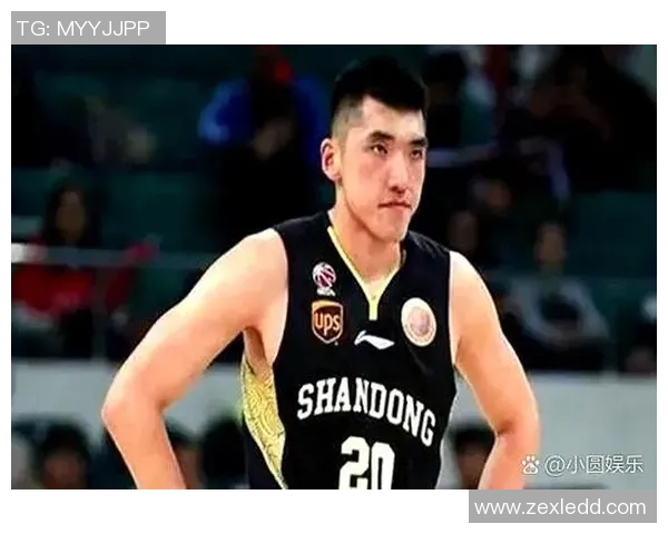 陶汉林：从篮球场上的拼搏者到社会责任的践行者之路