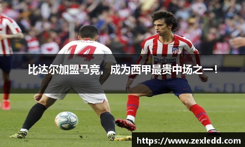 威客电竞官网