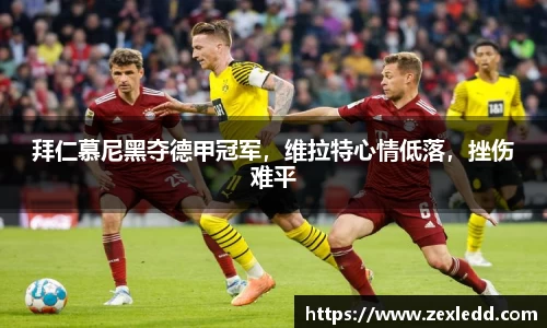 威客电竞APP