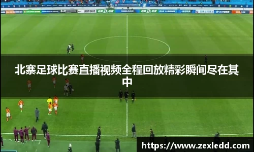 威客电竞APP